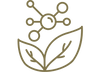 Mediterrra Official Site: Rich in Antioxidants logo with berry and leaf symbol, highlighting natural high-quality food products